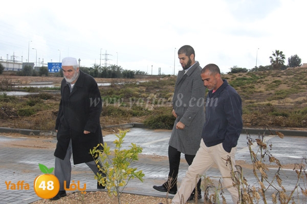 wafd taso jasdh3u2 (11).JPG